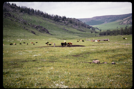 199302 - 199302_07_11