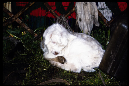 199302 - 199302_08_03