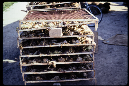 199302 - 199302_09_13