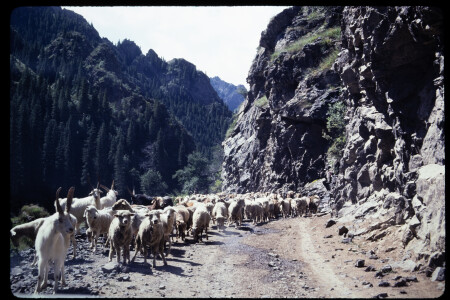 199302 - 199302_09_14