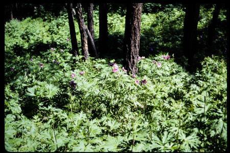 199302 - 199302_11_04