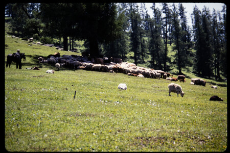 199302 - 199302_11_20