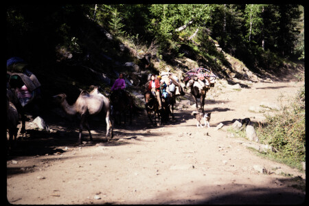 199302 - 199302_12_08