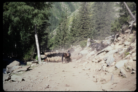 199302 - 199302_13_11