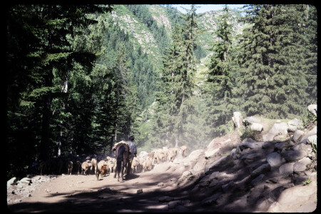 199302 - 199302_13_12