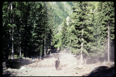 199302 - 199302_13_13