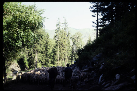 199302 - 199302_13_16