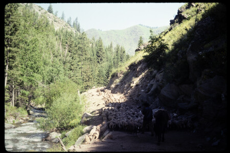 199302 - 199302_13_18