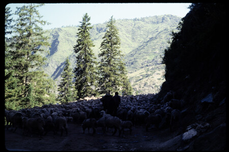 199302 - 199302_13_20