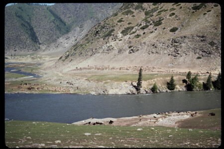 199302 - 199302_14_10