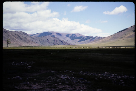 199303 - 199303_01_17