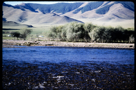 199303 - 199303_02_13