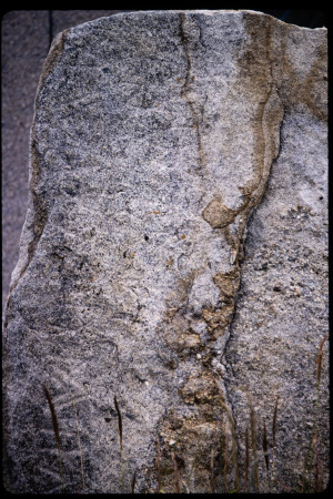 199303 - 199303_10_15