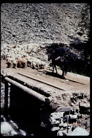 199304 - 199304_01_09