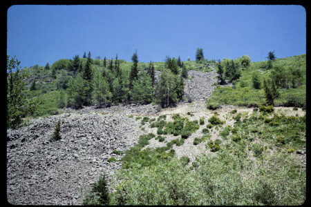 199304 - 199304_01_11