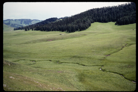199304 - 199304_07_20