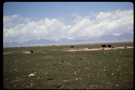 199304 - 199304_12_03