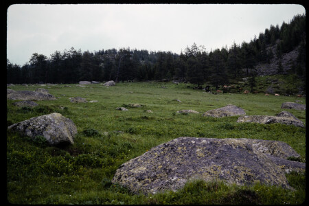 199304 - 199304_13_01