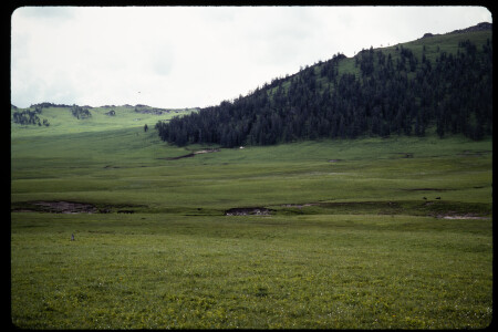 199304 - 199304_14_12