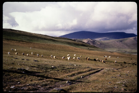 199304 - 199304_15_10