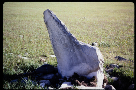 199305 - 199305_15_14