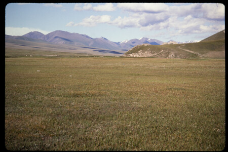 199305 - 199305_15_19