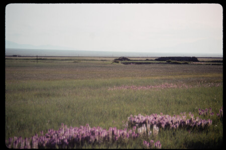 199305 - 199305_17_02