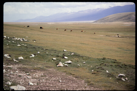 199305 - 199305_17_20