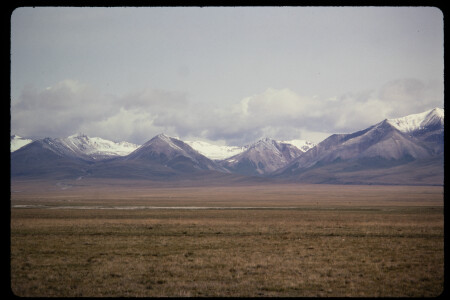 199305 - 199305_22_04