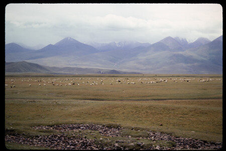 199306 - 199306_01_11
