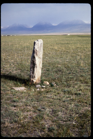 199306 - 199306_03_15