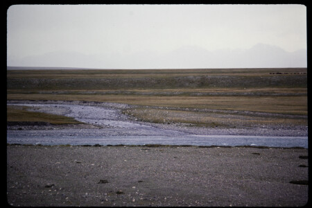 199306 - 199306_16_06