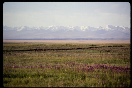 199306 - 199306_16_12