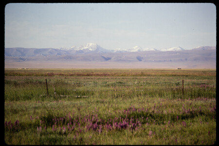 199306 - 199306_16_15