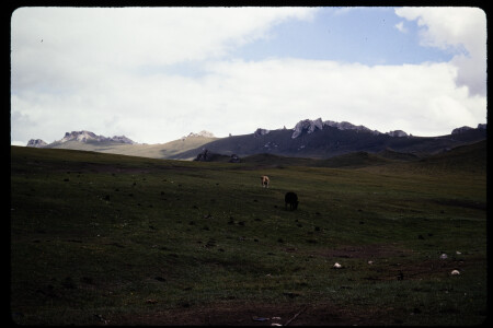 199306 - 199306_17_10