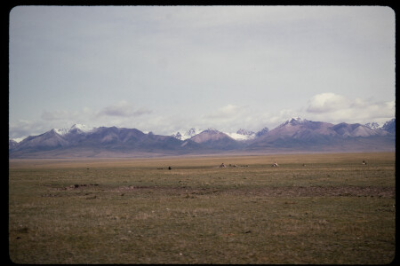 199306 - 199306_18_02