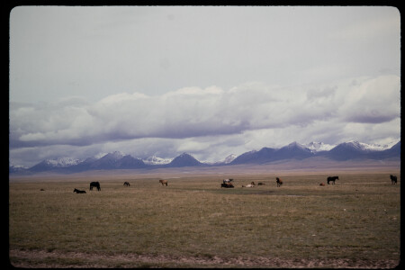 199306 - 199306_18_06