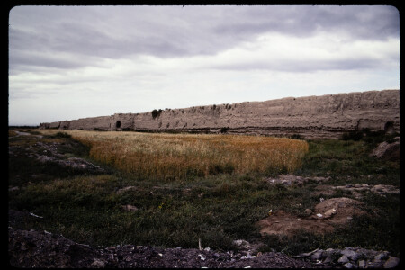 199307 - 199307_01_07