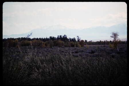 199307 - 199307_11_14