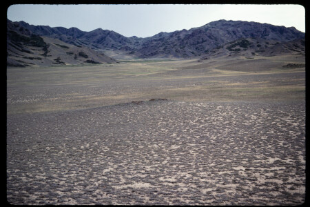 199307 - 199307_13_19