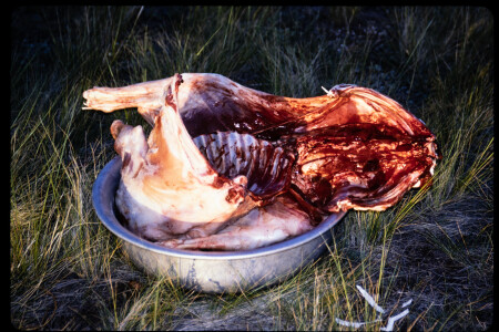 199308 - 199308_03_11