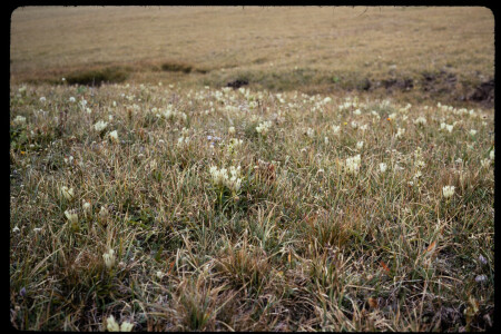 199308 - 199308_12_06