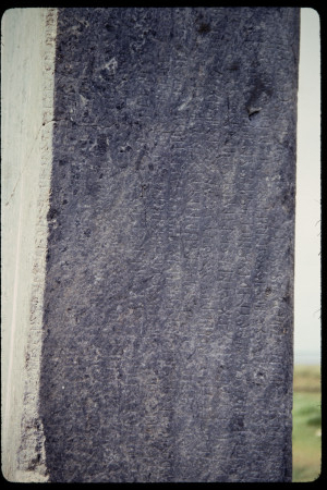 199308 - 199308_16_10