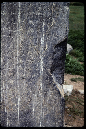 199308 - 199308_17_06