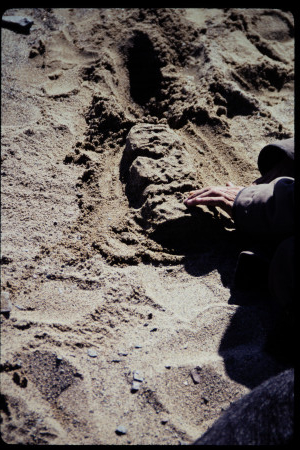 199309 - 199309_07_14