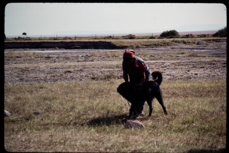 199309 - 199309_08_11