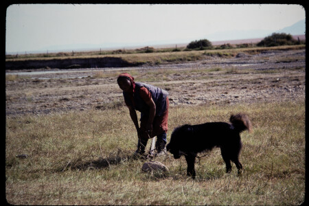 199309 - 199309_08_12