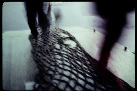 199309 - 199309_11_20