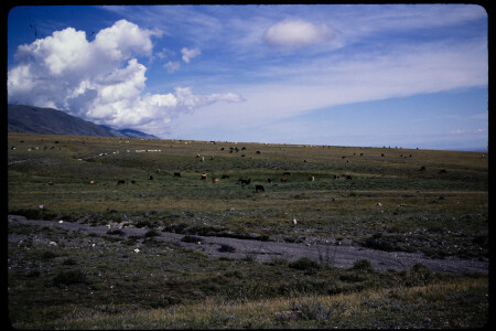 199309 - 199309_15_02