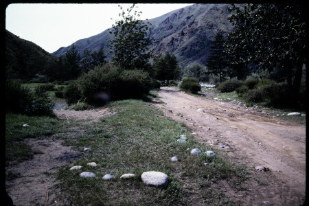 199309 - 199309_16_05